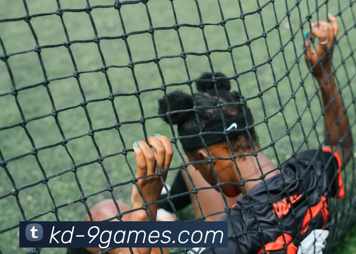 九游官网发展历程